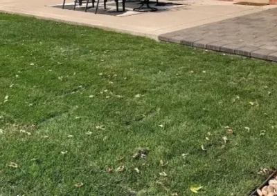 Front House Landscaping