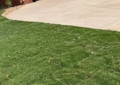 Landscaping Contractor (1)