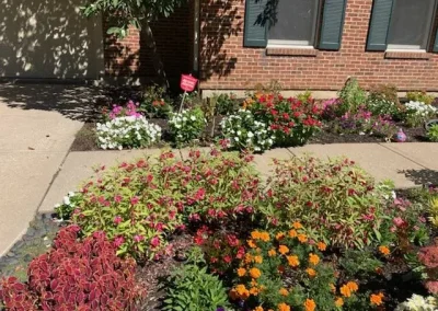 Landscaping Contractor