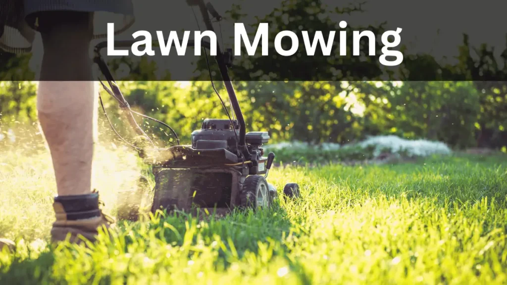 Lawn Mowing