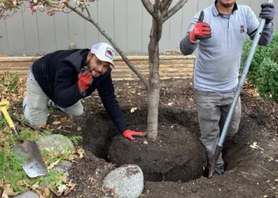 Quality Garden Service